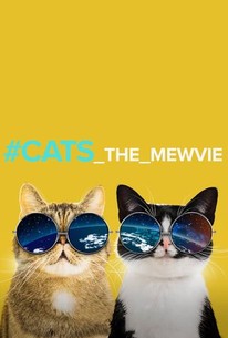 Watch trailer for #CATS_The_Mewvie