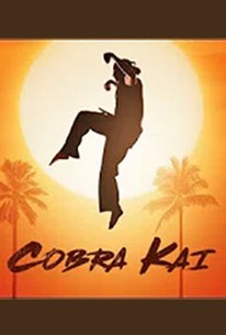 Cobra Kai: Season 3 - Rotten Tomatoes