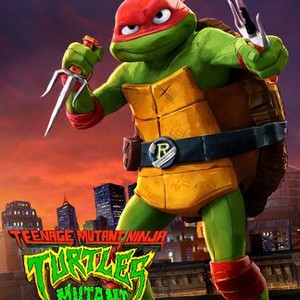 Teenage Mutant Ninja Turtles Toddler Boys 3 Pack Graphic T-Shirts  Orange/Black/Green 2T