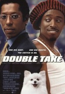 Double Take poster image