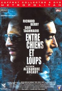 Break Of Dawn Entre Chiens Et Loups 2002 Rotten