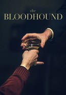 The Bloodhound poster image