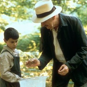 Butterfly (1999) photo 12