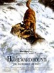 Homeward Bound: The Incredible Journey