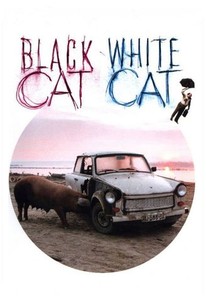 Crna Macka Beli Macor Black Cat White Cat 1999