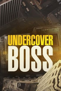 Undercover Boss: Season 11 poster image