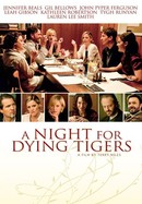 A Night for Dying Tigers poster image