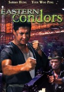 Eastern Condors poster image