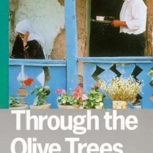 "Through the Olive Trees photo 2"