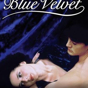 "Blue Velvet photo 9"