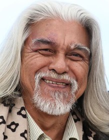 Wan Hanafisu