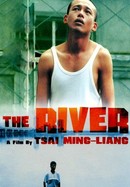 The River poster image