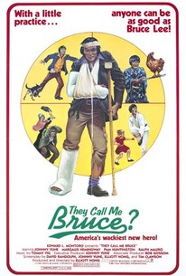 Poster for They Call Me Bruce?