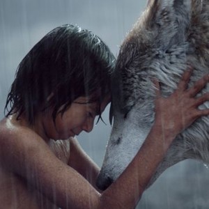 The Jungle Book (2016) photo 15