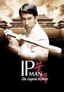 The Legend Is Born: Ip Man poster image