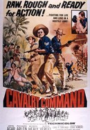 Cavalry Command poster image