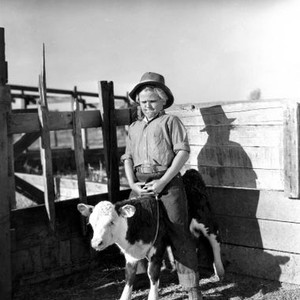 LONE COWBOY, Jackie Cooper, 1933