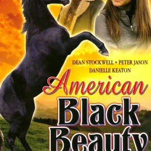 American Black Beauty photo 11
