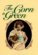 The Corn Is Green poster image