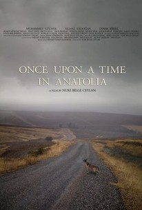 Once Upon A Time in Anatolia poster