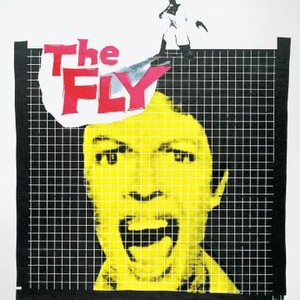 The Fly photo 11