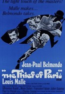 The Thief of Paris poster image