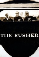 The Busher poster image