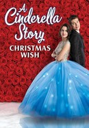 A Cinderella Story: Christmas Wish poster image