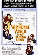 The Wonderful World of the Brothers Grimm poster image