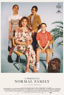 A Perfectly Normal Family poster