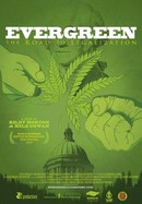 Evergreen: The Road to Legalization poster image