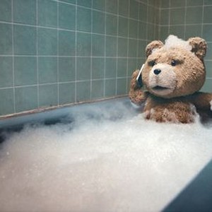 "Ted photo 13"