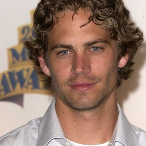 Paul Walker Rotten Tomatoes