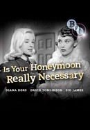 Is Your Honeymoon Really Necessary? poster image
