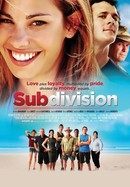 Subdivision poster image