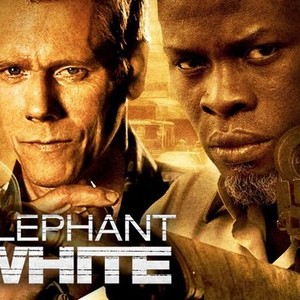 Elephant White Rotten Tomatoes