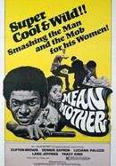 Mean Mother poster image