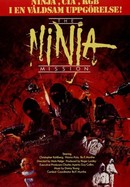 The Ninja Mission poster image