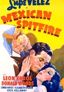 Mexican Spitfire poster image