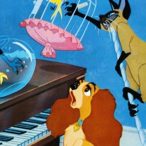 Lady and the Tramp (1955) photo 11