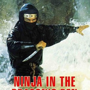 Ninja in the Dragon's Den photo 10