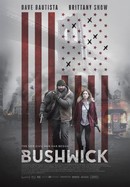 Bushwick poster image