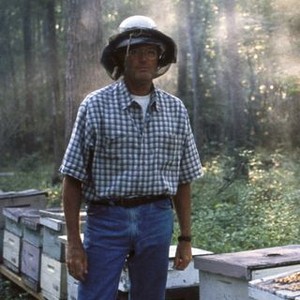 Ulee's Gold (1997)