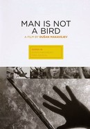 Man Is Not a Bird poster image