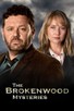 Poster for 