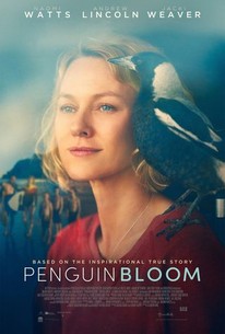 Watch trailer for Penguin Bloom