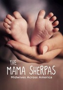 The Mama Sherpas poster image