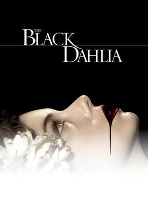 The Black Dahlia poster