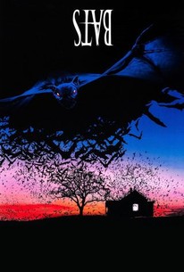 Watch trailer for Bats