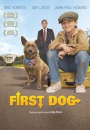 First Dog poster image